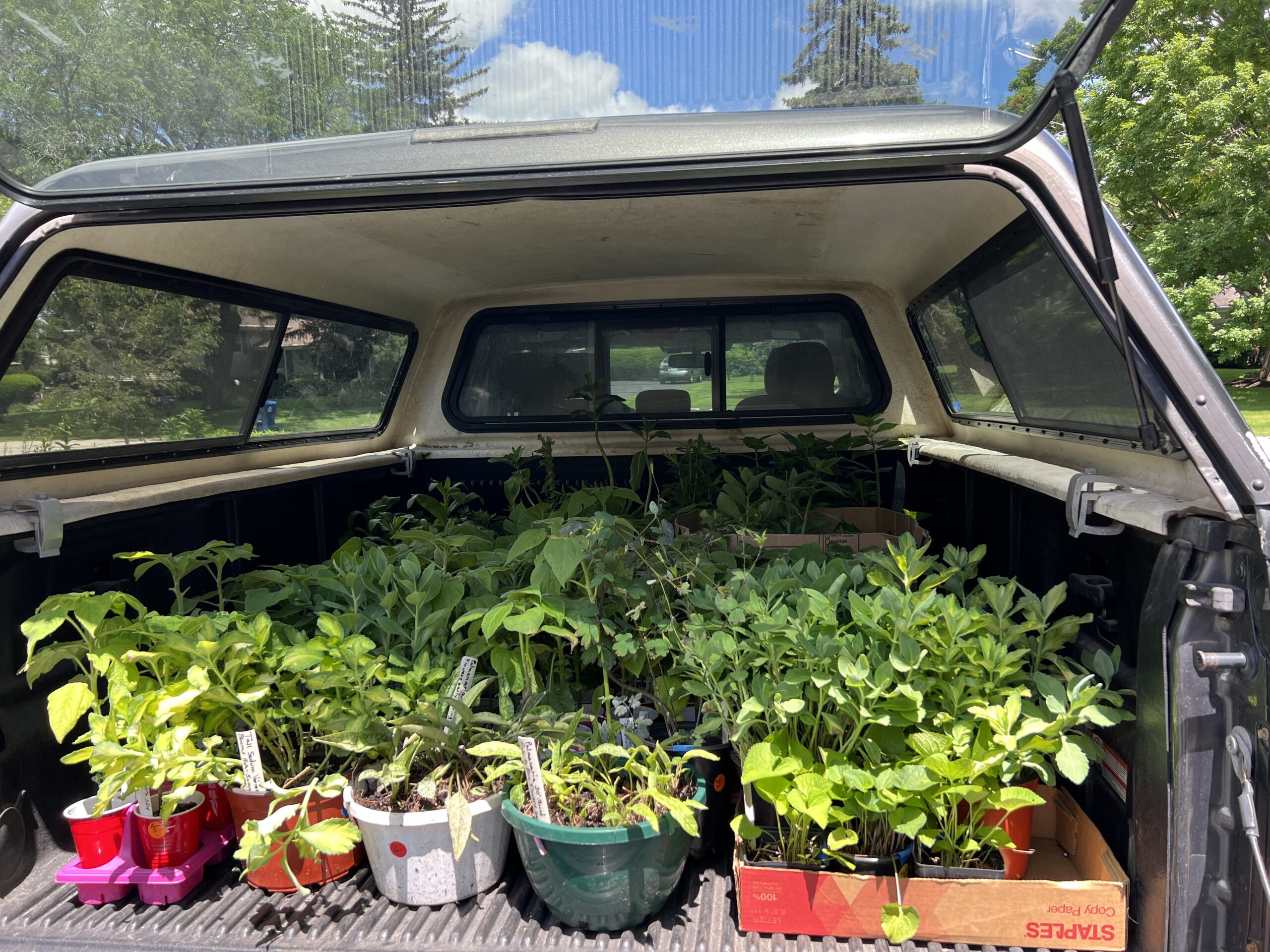 Loading up all of the plants!
